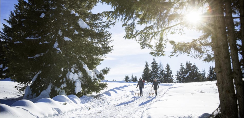 VACANZE INVERNALI