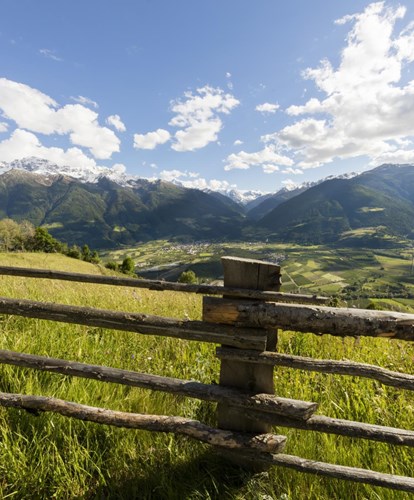 Wiese-Berge-Aussicht