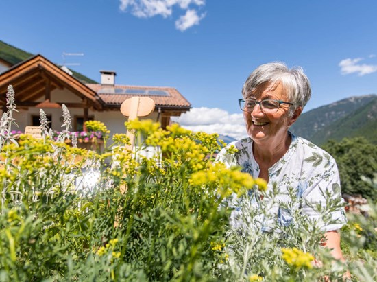 Giardino delle erbe aromatiche