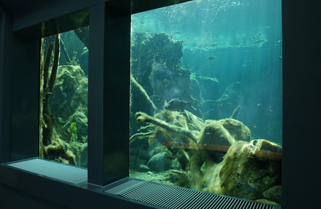 Besucherzentrum-aquaprad-seeaquarium