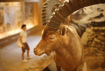 Visitor Centres of Stelvio National Park