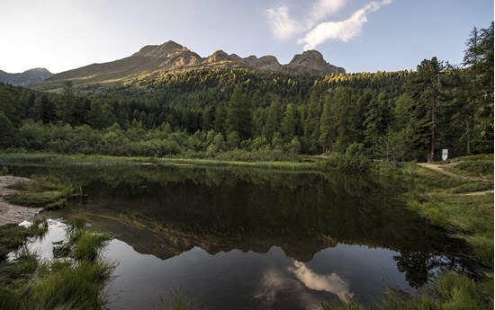 Divieto di caccia nel Parco Nazionale dello Stelvio