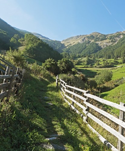 weg-lm-mg-zaun-wiese-berge