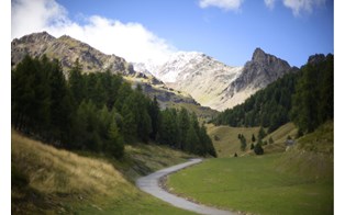 Trentino